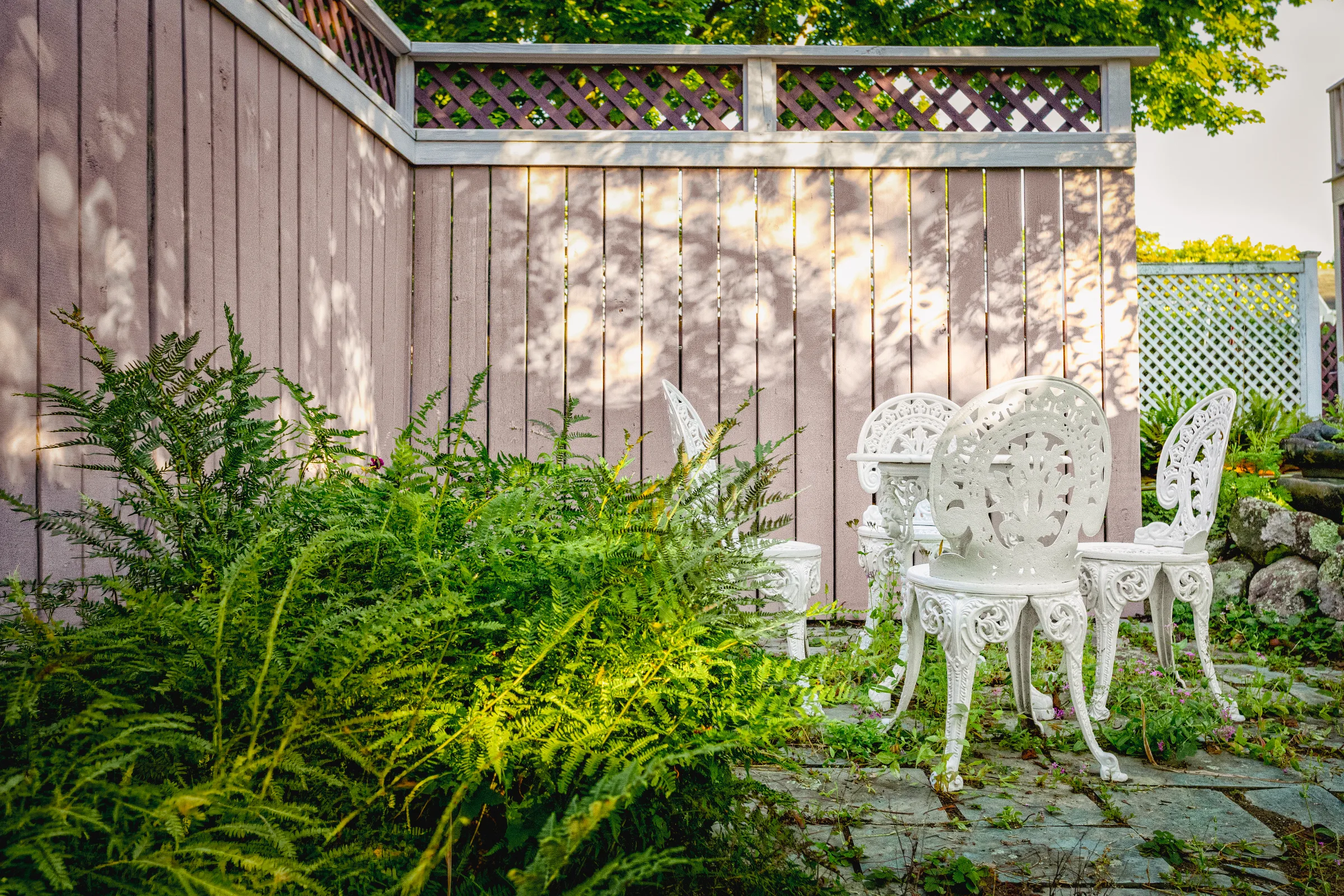 Mauve vertical boards with light framing and purple lattice beside a garden patio