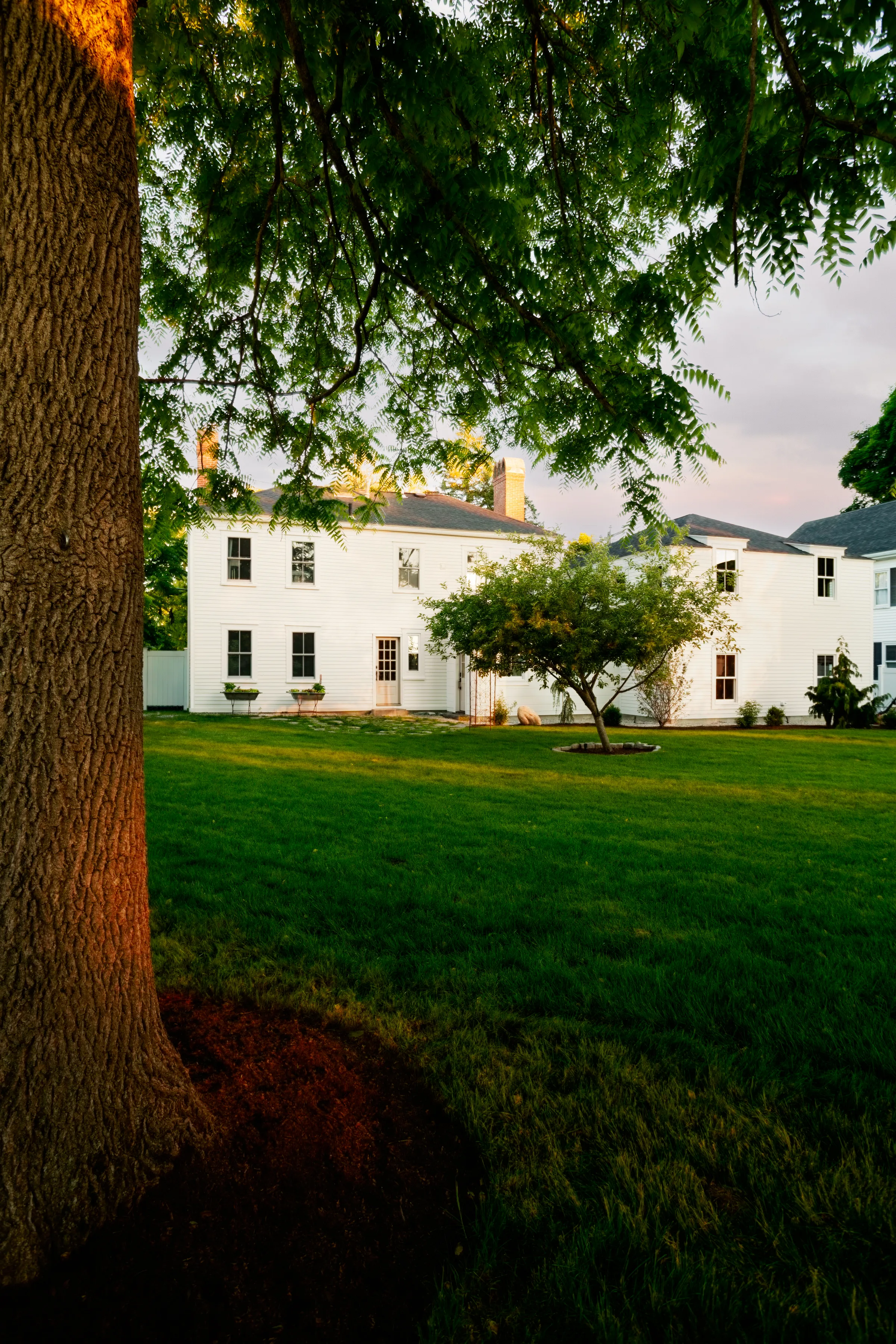 Light-painted rear elevation viewed across a broad green lawn beneath mature trees